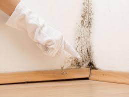 Mold Remediation for Vacation Homes in Greensboro, NC